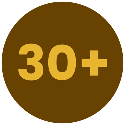 30+ Years Experience icon